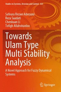 bokomslag Towards Ulam Type Multi Stability Analysis