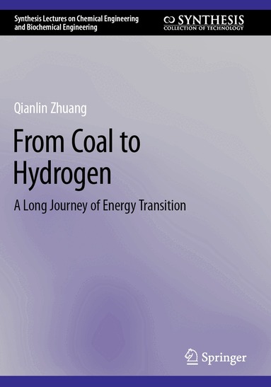 Qianlin Zhuang - From Coal to Hydrogen, Häftad
