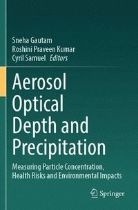 bokomslag Aerosol Optical Depth and Precipitation