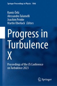 bokomslag Progress in Turbulence X