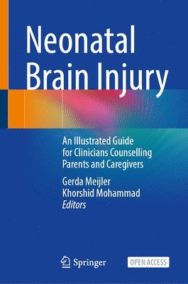 bokomslag Neonatal Brain Injury