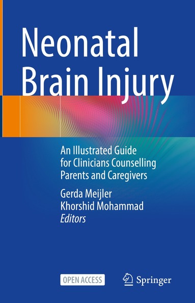 bokomslag Neonatal Brain Injury