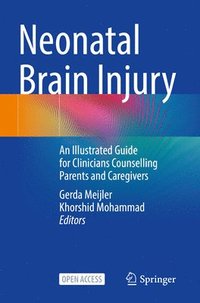 bokomslag Neonatal Brain Injury