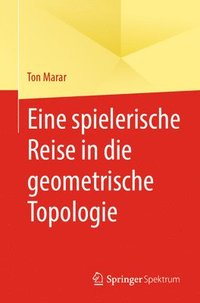 bokomslag Eine spielerische Reise in die geometrische Topologie