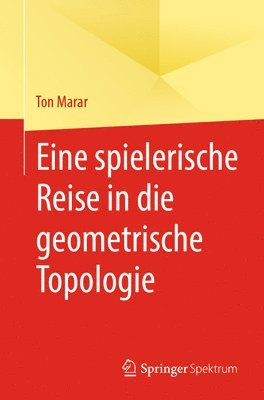 bokomslag Eine spielerische Reise in die geometrische Topologie