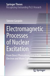 bokomslag Electromagnetic Processes of Nuclear Excitation