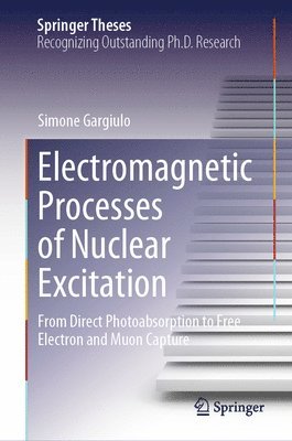 Electromagnetic Processes of Nuclear Excitation 1