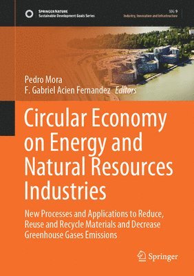 bokomslag Circular Economy on Energy and Natural Resources Industries