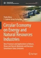 bokomslag Circular Economy on Energy and Natural Resources Industries