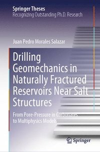 bokomslag Drilling Geomechanics in Naturally Fractured Reservoirs Near Salt Structures