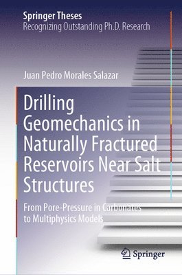 bokomslag Drilling Geomechanics in Naturally Fractured Reservoirs Near Salt Structures