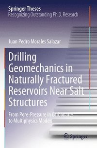 bokomslag Drilling Geomechanics in Naturally Fractured Reservoirs Near Salt Structures
