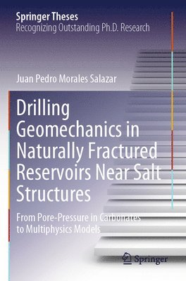 bokomslag Drilling Geomechanics in Naturally Fractured Reservoirs Near Salt Structures