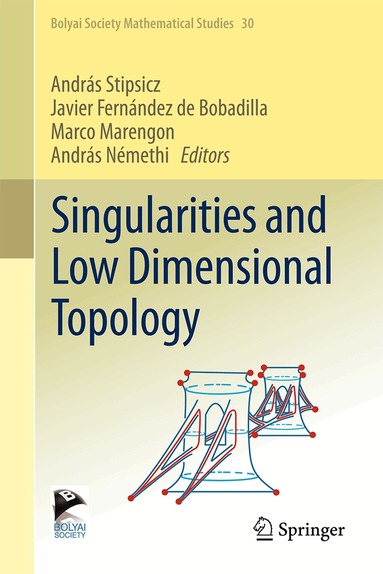 Javier Fernández de Bobadilla, Marco Marengon, András Némethi, András Stipsicz - Singularities and Low Dimensional Topology, Inbunden