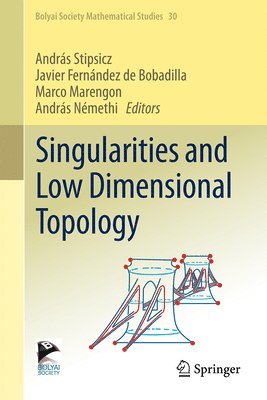 bokomslag Singularities and Low Dimensional Topology