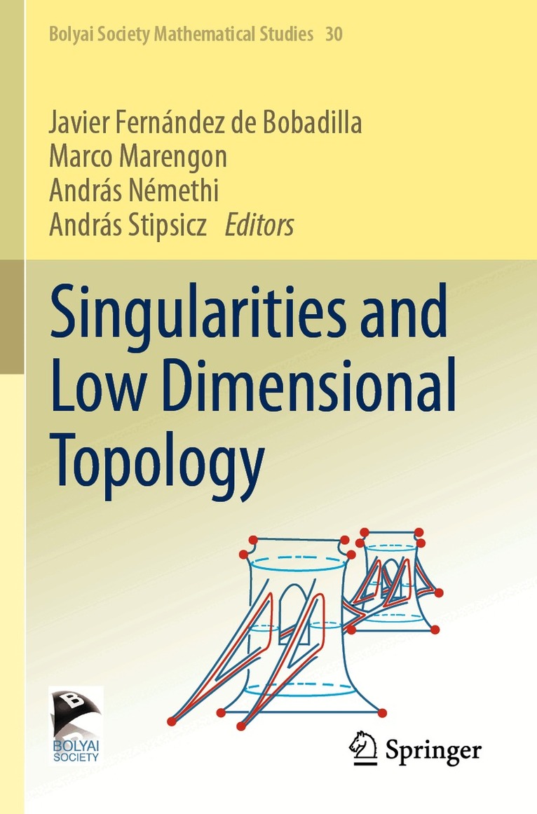 Javier Fernández de Bobadilla, Marco Marengon, András Némethi, András Stipsicz - Singularities and Low Dimensional Topology, Häftad. Tillgänglighet: Lägg i varukorg