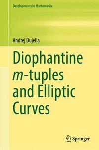 bokomslag Diophantine m-tuples and Elliptic Curves