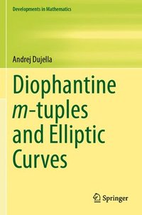 bokomslag Diophantine m-tuples and Elliptic Curves