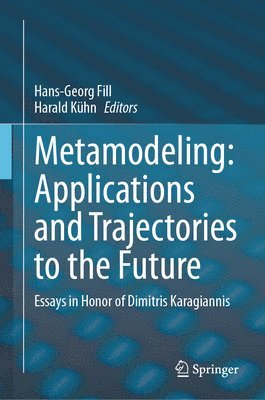 bokomslag Metamodeling: Applications and Trajectories to the Future