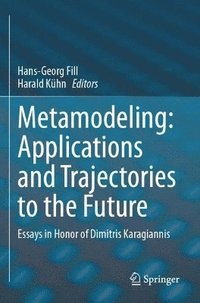 bokomslag Metamodeling: Applications and Trajectories to the Future