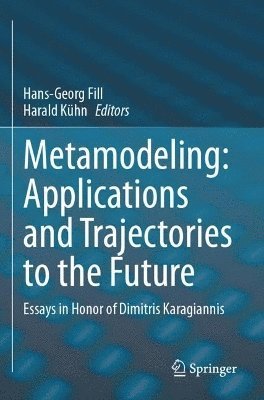 bokomslag Metamodeling: Applications and Trajectories to the Future