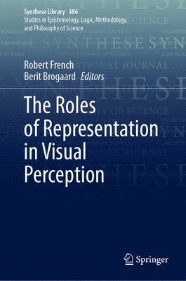 bokomslag The Roles of Representation in Visual Perception