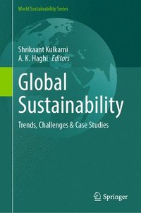 bokomslag Global Sustainability