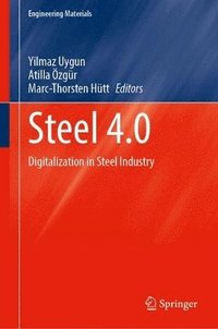 bokomslag Steel 4.0