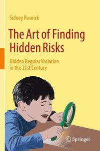 bokomslag Art of Finding Hidden Risks