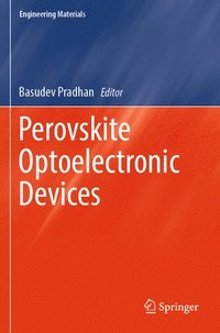 bokomslag Perovskite Optoelectronic Devices