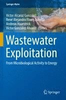 bokomslag Wastewater Exploitation