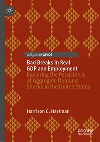 bokomslag Bad Breaks in Real GDP and Employment