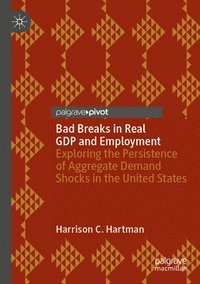 bokomslag Bad Breaks in Real GDP and Employment