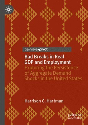 bokomslag Bad Breaks in Real GDP and Employment