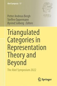 bokomslag Triangulated Categories in Representation Theory and Beyond