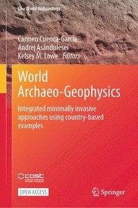 bokomslag World Archaeo-Geophysics