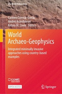 bokomslag World Archaeo-Geophysics