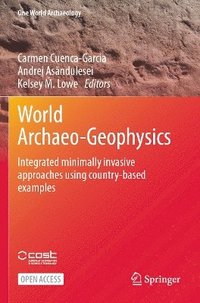 bokomslag World Archaeo-Geophysics
