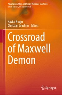 bokomslag Crossroad of Maxwell Demon