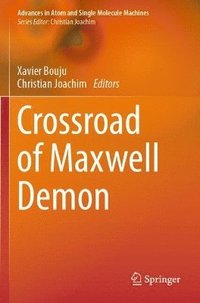 bokomslag Crossroad of Maxwell Demon