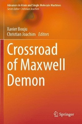 bokomslag Crossroad of Maxwell Demon