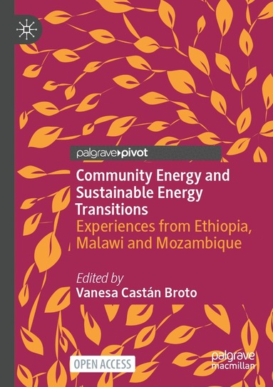 Vanesa Castán Broto - Community Energy and Sustainable Energy Transitions, Häftad
