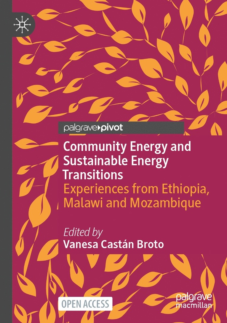 Vanesa Castán Broto, Vanesa Castan Broto - Community Energy and Sustainable Energy Transitions, Häftad