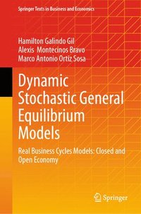 bokomslag Dynamic Stochastic General Equilibrium Models
