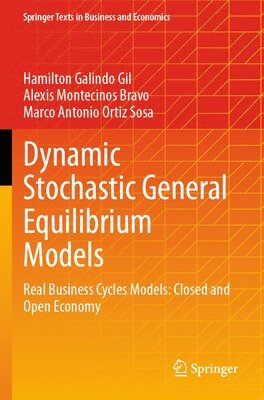Dynamic Stochastic General Equilibrium Models