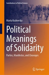 bokomslag Political Meanings of Solidarity