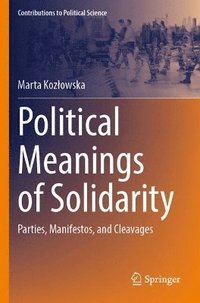 bokomslag Political Meanings of Solidarity