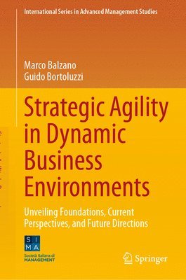 bokomslag Strategic Agility in Dynamic Business Environments