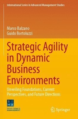 bokomslag Strategic Agility in Dynamic Business Environments