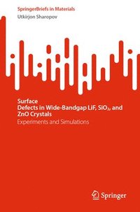 bokomslag Surface Defects¿in¿Wide-Bandgap¿LiF,¿SiO2,¿and ZnO¿Crystals